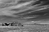 images/california/_d805906_bw_small.jpg